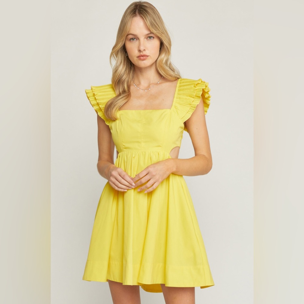NWT Entro Yellow Ruffle Sleeve Dress